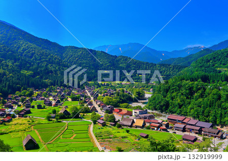 【岐阜県】万緑の城山展望台から見た白川郷（世界遺産） 132919999