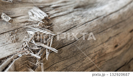 Close-up of weathered wood texture with shavings and natural patterns Copy space Close-up of weathered wood texture with shavings and natural patterns Copy space 132920687