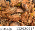 Dry and fibrous coconut husks showing coarse coir strands, ideal for illustrating organic texture, agriculture, or eco-friendly materials. Dry and fibrous coconut husks showing coarse coir strands, ideal for illustrating organic texture, agriculture, or eco-friendly materials. 132920917