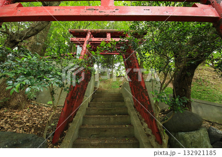 愛媛県八幡浜市 愛宕山王照院 鳥居と遊歩道 愛媛県八幡浜市 愛宕山王照院 鳥居と遊歩道 132921185