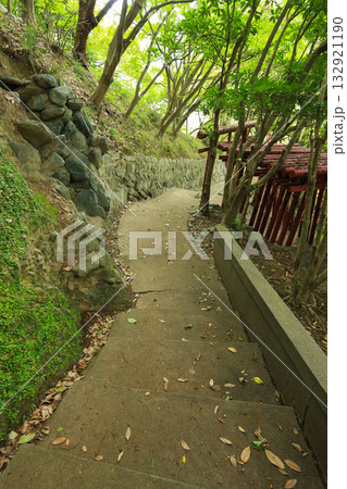 愛媛県八幡浜市 愛宕山王照院 鳥居と遊歩道 愛媛県八幡浜市 愛宕山王照院 鳥居と遊歩道 132921190
