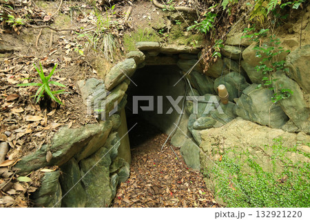 愛媛県八幡浜市 愛宕山王照院 遊歩道 愛媛県八幡浜市 愛宕山王照院 遊歩道 132921220