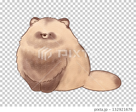 坐著的浣熊 坐著的浣熊 132921676