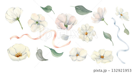 Botanical set white flowers Watercolor isolated background. Hand painted illustrations of white cosmos, peonies and anemones with delicate foliage, satin ribbons. Monochrome neutral blooms clipart. 132921953