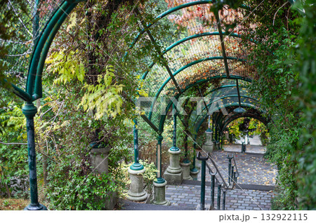 Trellis and paving stones in the park Trellis and paving stones in the park 132922115