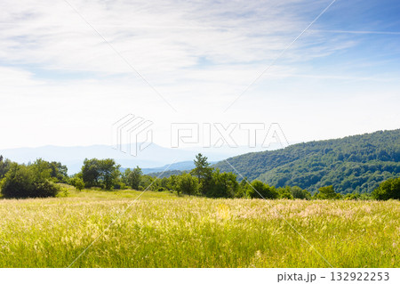 evening summer landscape with grass field in mountains. countryside scenery of transcarpathia, ukraine with scenic view of distant ridge in delightful atmosphere under blue sky with puffy clouds evening summer landscape with grass field in mountains. countryside scenery of transcarpathia, ukraine with scenic view of distant ridge in delightful atmosphere under blue sky with puffy clouds 132922253