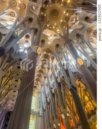 The interior ceiling of the Basilica de la Sagrada Familia, showcasing Antoni Gaudis signature organic design. 132922505