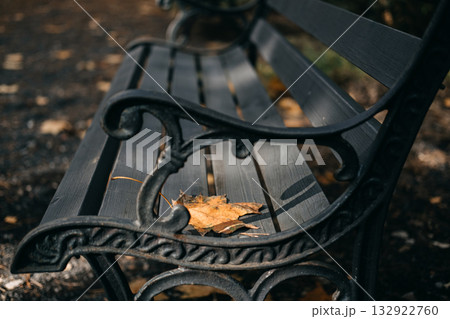 Close-up of an ornate black park bench with a single dry maple leaf resting on the wooden slats. Urban solitude, mental health awareness, seasonal affective disorder, emotional quietness Close-up of an ornate black park bench with a single dry maple leaf resting on the wooden slats. Urban solitude, mental health awareness, seasonal affective disorder, emotional quietness 132922760