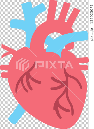 heart heart 132923071