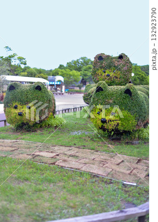 可愛らしく刈り上げられた植物 132923790
