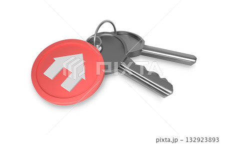 Realistic metal ring with keys and red pendant with home icon, keychain, steel keyholder, lock gear, key fob 3D vector 132923893