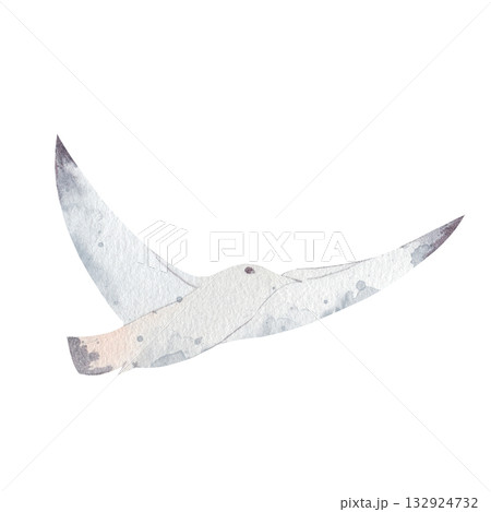 Hand drawn watercolor illustration of white seagull in flight. elegant bird with white feathers, black beak, isolated on white background. symbolic representation of freedom for nature, coastal theme Hand drawn watercolor illustration of white seagull in flight. elegant bird with white feathers, black beak, isolated on white background. symbolic representation of freedom for nature, coastal theme 132924732