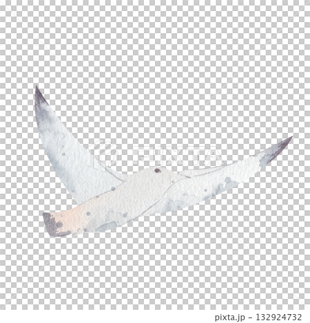 Hand drawn watercolor illustration of white seagull in flight. elegant bird with white feathers, black beak, isolated on white background. symbolic representation of freedom for nature, coastal theme Hand drawn watercolor illustration of white seagull in flight. elegant bird with white feathers, black beak, isolated on white background. symbolic representation of freedom for nature, coastal theme 132924732
