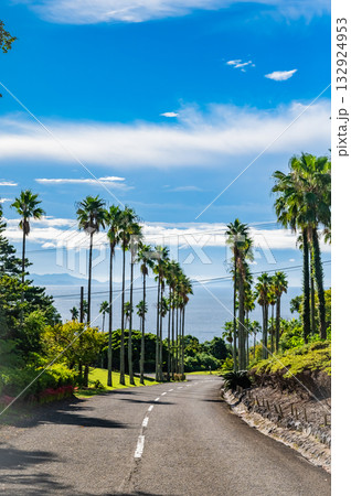 九州 鹿児島県 開聞山麓自然公園(トカラ馬牧場) 九州 鹿児島県 開聞山麓自然公園(トカラ馬牧場) 132924953