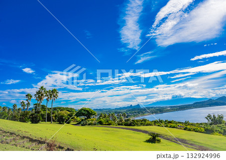 九州　鹿児島県　開聞山麓自然公園（トカラ馬牧場） 132924996