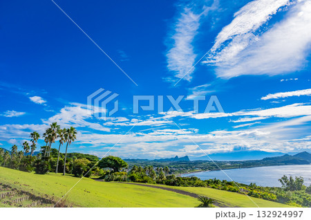 九州　鹿児島県　開聞山麓自然公園（トカラ馬牧場） 132924997