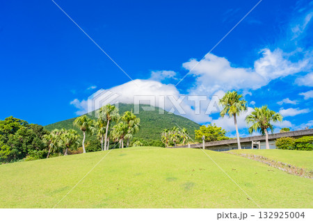 九州　鹿児島県　開聞山麓自然公園（トカラ馬牧場） 132925004