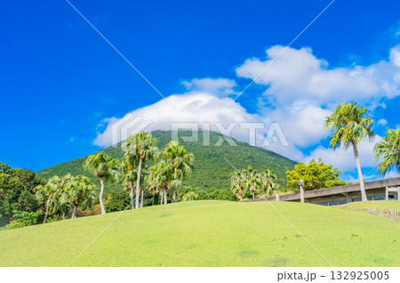 九州　鹿児島県　開聞山麓自然公園（トカラ馬牧場） 132925005