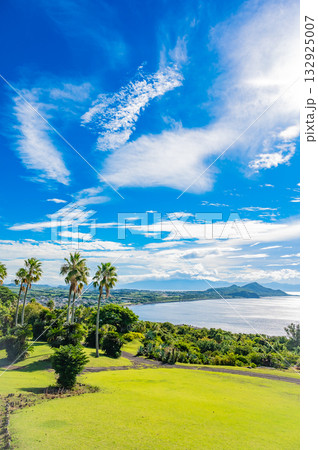 九州 鹿児島県 開聞山麓自然公園(トカラ馬牧場) 九州 鹿児島県 開聞山麓自然公園(トカラ馬牧場) 132925007