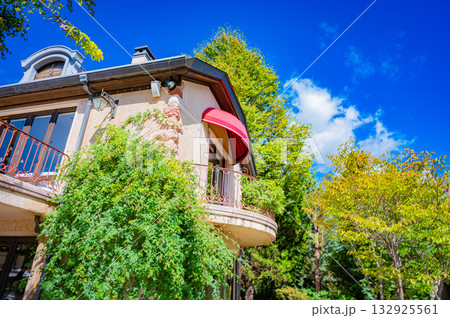 山梨県　河口湖 音楽と森の美術館 132925561