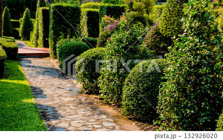Luxury landscape design of the tropical garden. Luxury landscape design of the tropical garden. 132926020