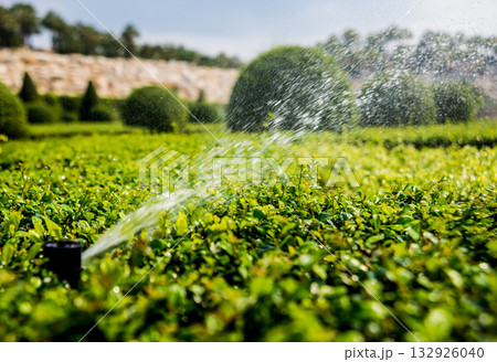 Luxury landscape design of the tropical garden.  132926040