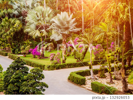 Luxury landscape design of the tropical garden. Luxury landscape design of the tropical garden. 132926053