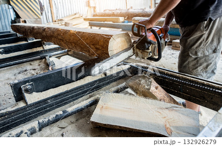 Woodcutter cutting tree with chainsaw on sawmill. Modern sawmill. Woodcutter cutting tree with chainsaw on sawmill. Modern sawmill. 132926279