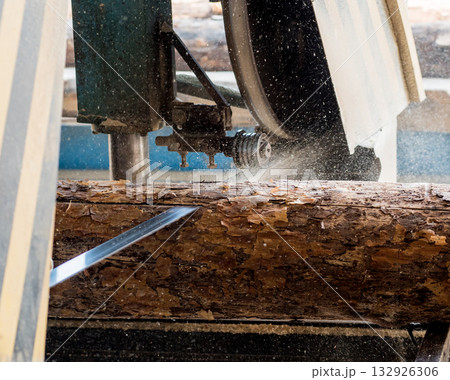 Modern sawmill. Industry sawing boards from logs Modern sawmill. Industry sawing boards from logs 132926306