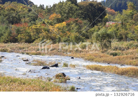 わたらせ渓谷鐵道「渡良瀬川上流と紅葉した木々」 わたらせ渓谷鐵道「渡良瀬川上流と紅葉した木々」 132926716