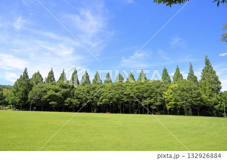 夏の公園　爽やか　雑木林 132926884