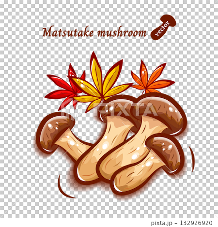 Cute pop illustration of matsutake mushrooms and autumn leaves | Autumn flavors mushrooms Cute pop illustration of matsutake mushrooms and autumn leaves | Autumn flavors mushrooms 132926920