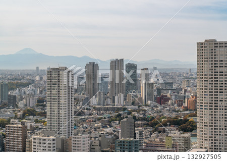 都市風景 晴れた日の東京の街と富士山 都市風景 晴れた日の東京の街と富士山 132927505