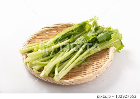 蕪の葉 蕪の葉 132927652