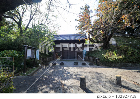 館林城跡の土橋門 館林城跡の土橋門 132927719