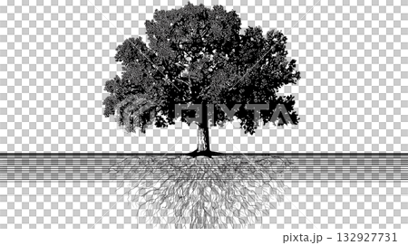 極簡主義哲學插圖，描繪了一棵樹及其根系，象徵成長和根基。 132927731