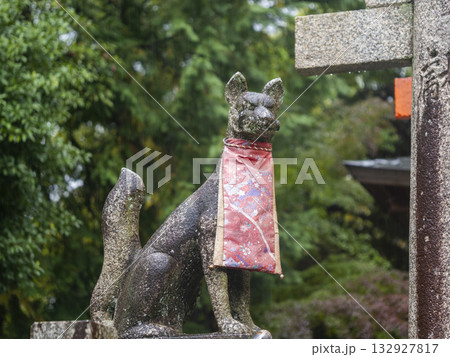 雨に濡れた稲荷神社の狛狐 132927817