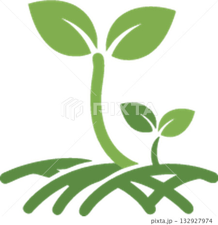 young sprout of green leaves young sprout of green leaves 132927974