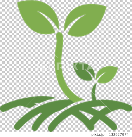 young sprout of green leaves young sprout of green leaves 132927974