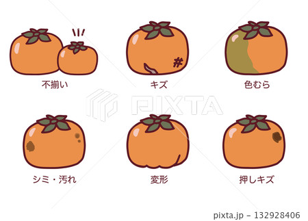 規格外の柿のイラストと説明 132928406