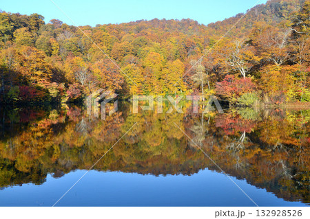 長野県北安曇野郡小谷村ある鎌池の水鏡に映える紅葉 長野県北安曇野郡小谷村ある鎌池の水鏡に映える紅葉 132928526