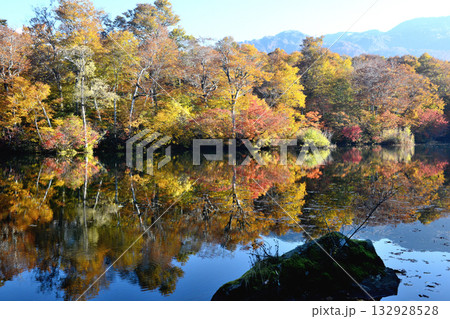 長野県北安曇野郡小谷村の鎌池の水鏡に映る対岸の紅葉した木々 132928528