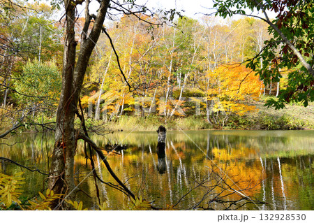 長野県下水内郡栄村秋山郷の天池の水鏡に映える紅葉 長野県下水内郡栄村秋山郷の天池の水鏡に映える紅葉 132928530