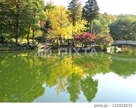東京都町田市薬師池公園の薬師池の水鏡に映える紅葉 132928532