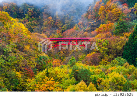 松川渓谷(秋) 高山村 松川渓谷(秋) 高山村 132928629