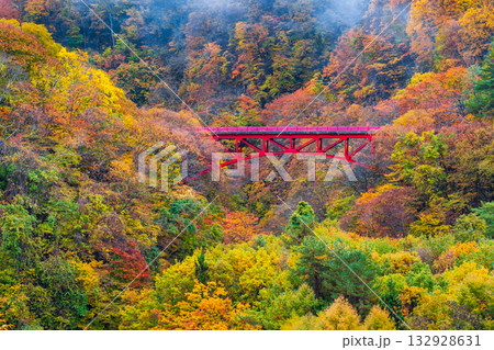 松川渓谷(秋) 高山村 松川渓谷(秋) 高山村 132928631