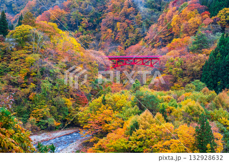 松川渓谷(秋) 高山村 松川渓谷(秋) 高山村 132928632