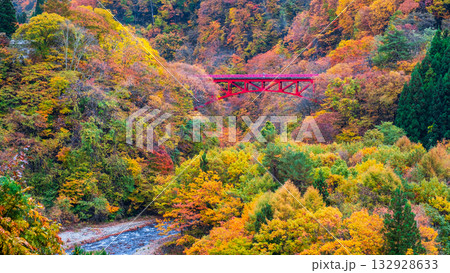 松川渓谷(秋) 高山村 松川渓谷(秋) 高山村 132928633