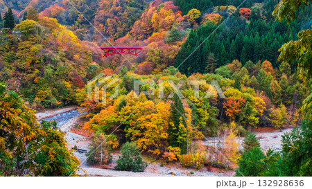 松川渓谷(秋) 高山村 松川渓谷(秋) 高山村 132928636