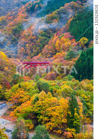 松川渓谷(秋) 高山村 松川渓谷(秋) 高山村 132928638